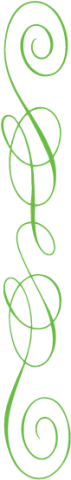 ornament1-vertkal-rechts
