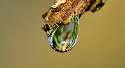 drop-2986878_640.jpg