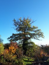 20181013_170640_resized.jpg